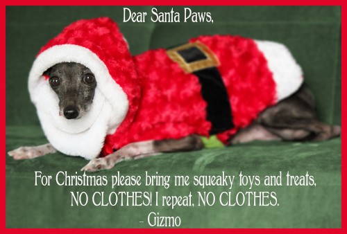 Santa-Paws-Christmas-card-holiday-dog-pet-funny-hilarious-saying-sayings-500x338.jpg