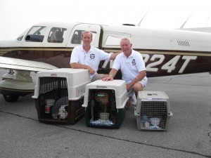 ROMP Rescue Volunteers, pilot and paws
