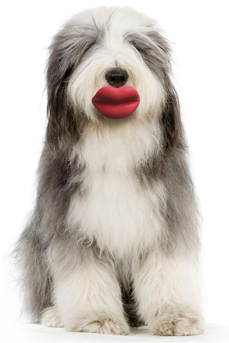 Humunga Lips dog toy, funny dog toy, funny dog toys