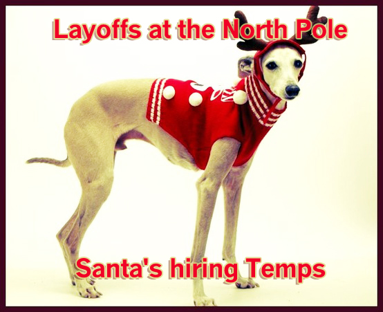 Funny holiday dog card saying, dog reindeer holiday card, santas hiring temps, layoffs at the north pole, dog in antlers, dog as reindeer, 