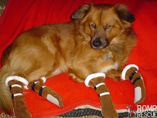 diy dog boots, home made dog boots, dog boots, dog booties, dog snow boots