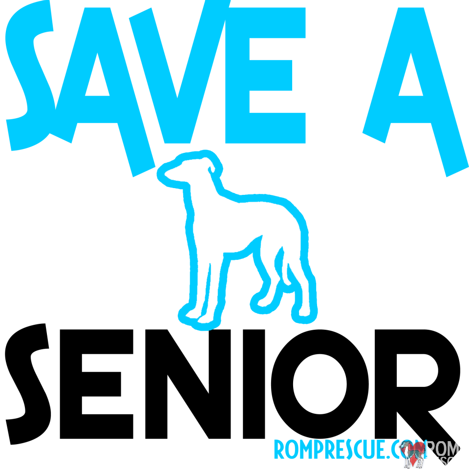 save a senior dog shirt, save, senior, dog, shirt, save a senior, tshirt, t shirt