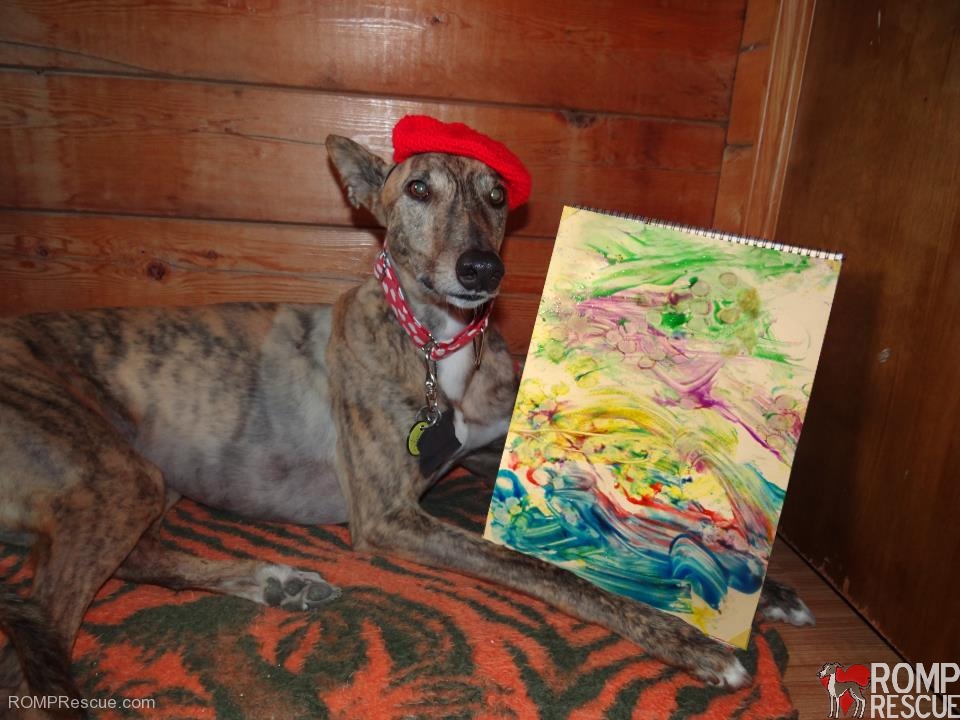 painting dog, radar, greyhound, paintar, pawcasso