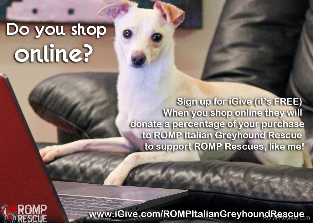 Shop Online to support ROMP, iGive, romp rescue, romp italian greyhound rescue, donation, support, fundraiser, igive, online fundraiser, online shopping, raise money, help, italian greyhound, chicago, illinois, romp,