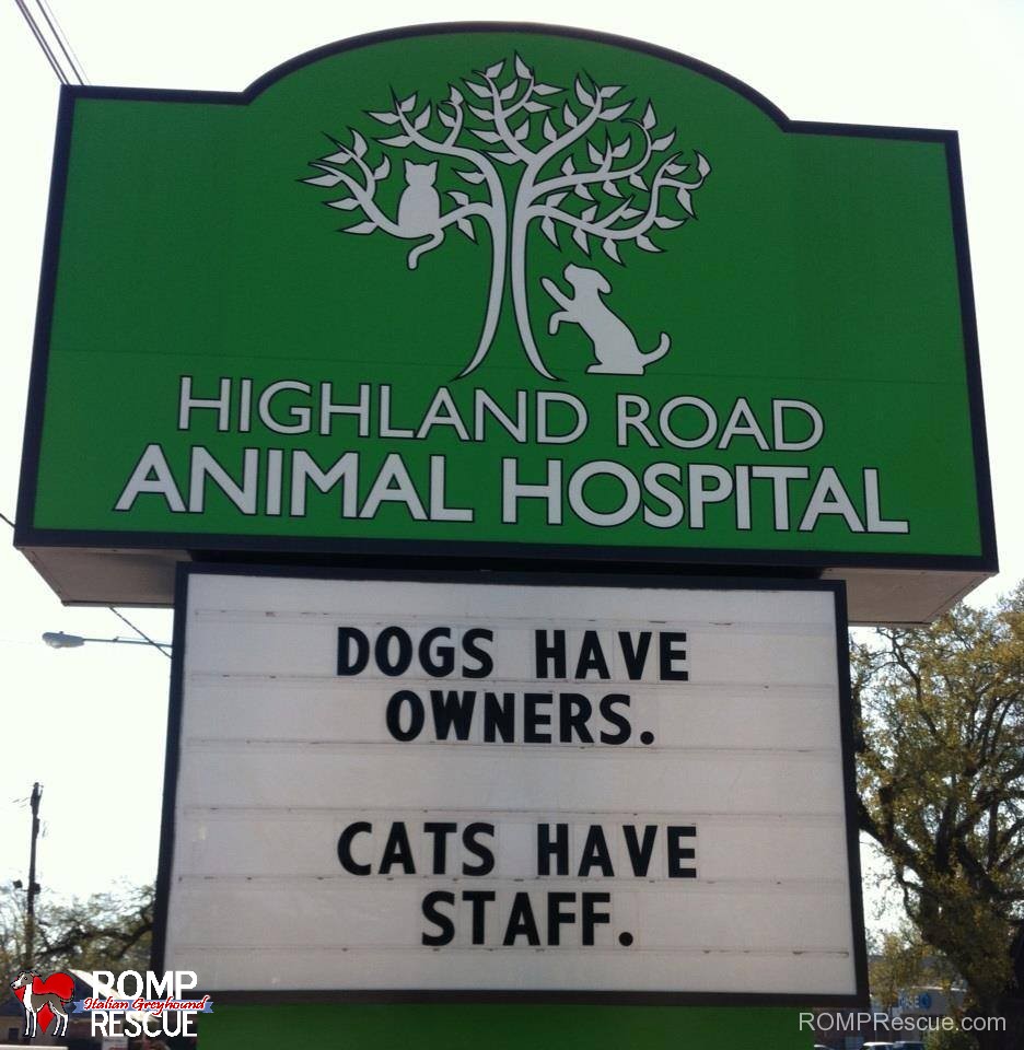 veterinarian, funny veterinarian sign, funny vet sign, funny, vet, sign, vet, marquee, dogs have owners cats have staff