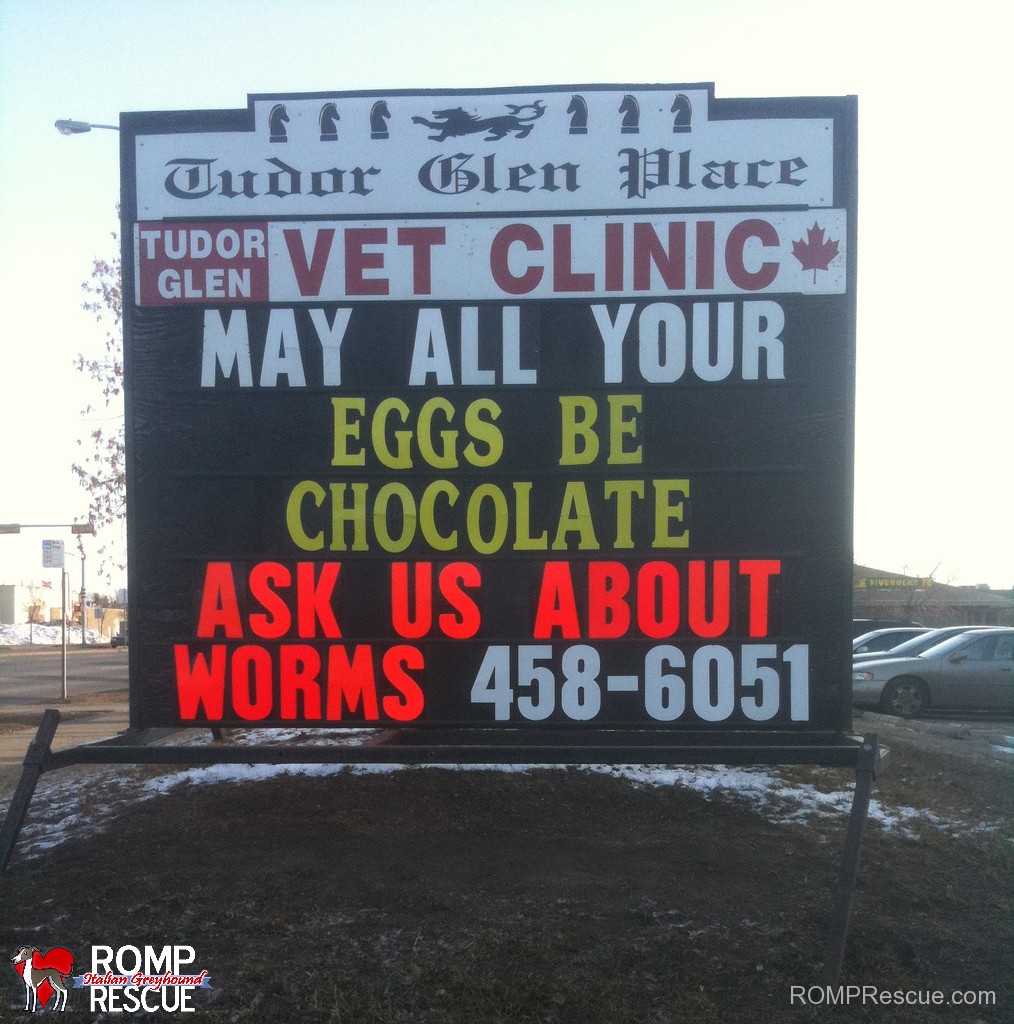 veterinarian, funny veterinarian sign, funny vet sign, funny, vet, sign, vet, marquee, worms