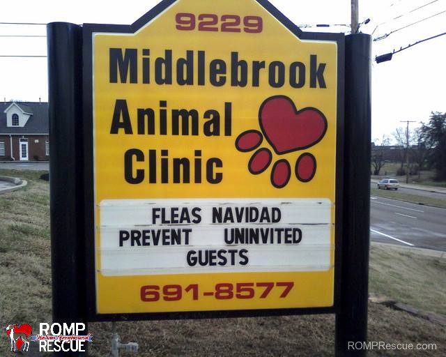 veterinarian, funny veterinarian sign, funny vet sign, funny, vet, sign, vet, marquee, fleas navidad,
