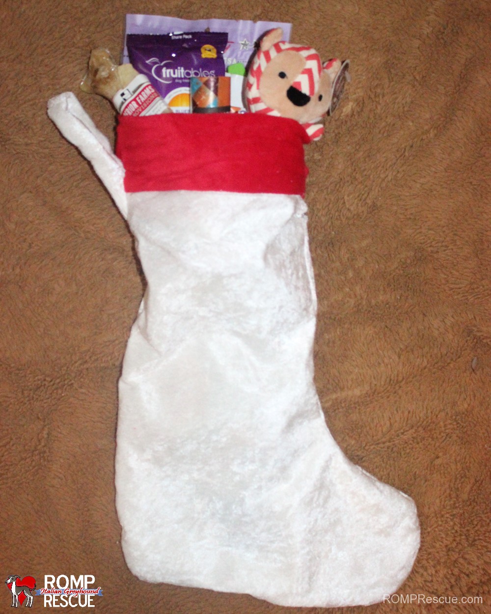 dog, christmas, holiday, stocking, stuffed, fundraiser, rescue, romp, italian greyhound, chicago, guy, gift, pet, pup, dog, dogs, pets, pups, italian greyhound, iggy, italian greyhounds