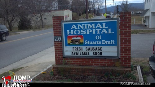 veterinary hospital, racy, signs, veterinarian, funny veterinarian sign, funny vet sign, funny, vet, sign, vet, marquee, animal clinic, animal hospital,
