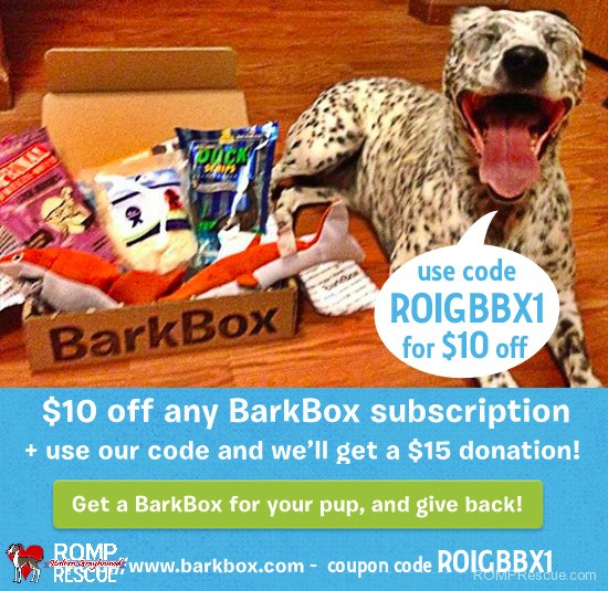barkbox coupon code, holiday weekend, special, discount, promo code, 2013, dog, gift, perfect, unique, special, present, christmas, thanksgiving, birch box, subscription, box, roigbbx1, romp rescue, give back