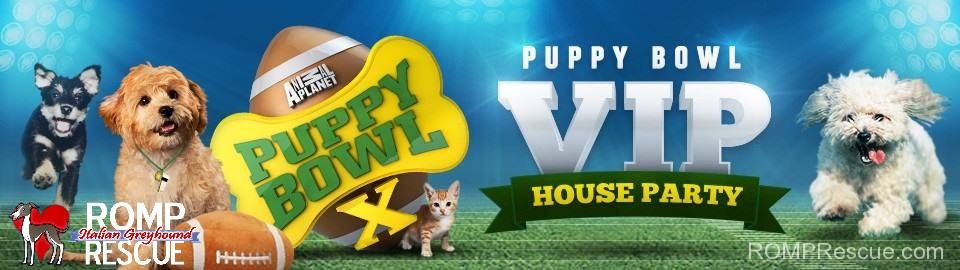 puppy bowl x, house party, vip party, puppy bowl, animal planet