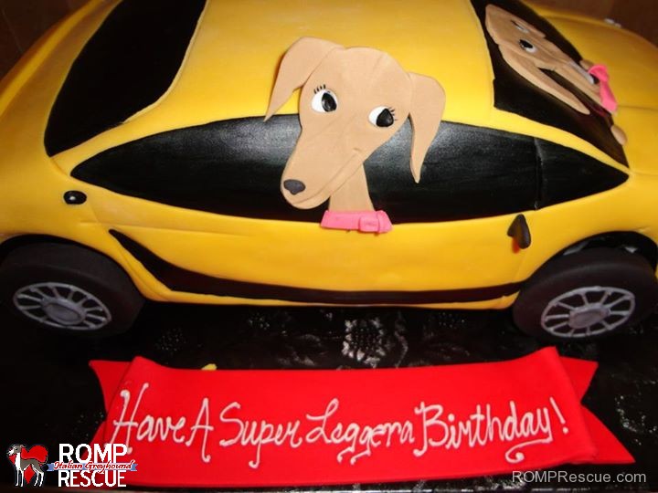 italian greyhound birthday cake, italian greyhound, iggy, ig, greyhound, birthday, cake