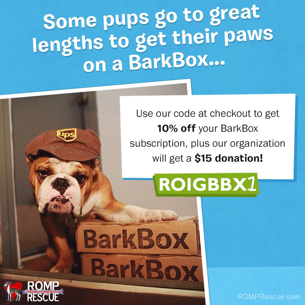 Barkbox coupon code promo july 2014 romp rescue